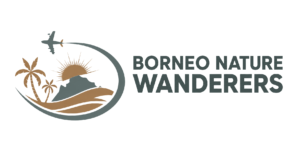 Borneo Nature Wanderers Travel & Tours